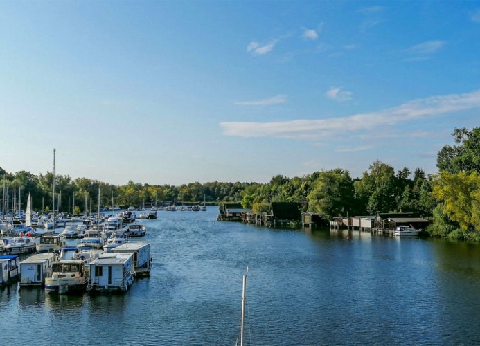 Rechlin 36
