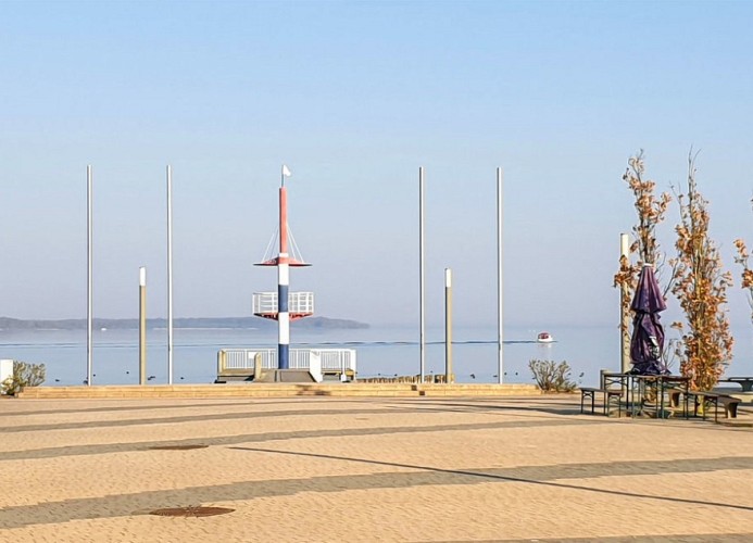 Rechlin 36