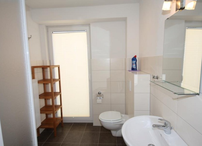 modernes Badezimmer mit Dusche im Erdgeschoss