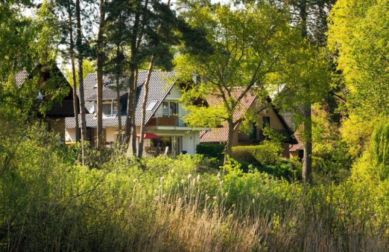 Ferienhaus am See