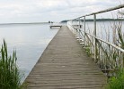 Wasser mit Steg ganz nah...