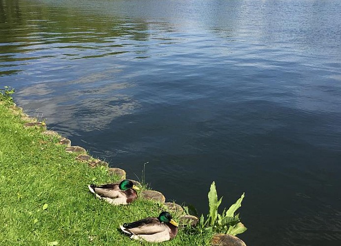 Röbel an der Müritz