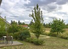 W 7 - Ferienhaus mit Terrasse, Sauna u. Kamin