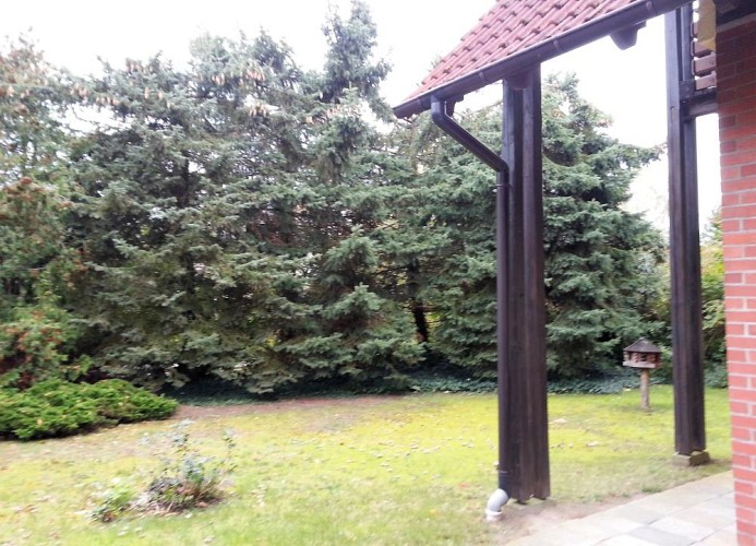 schöner Garten des Ferienhauses