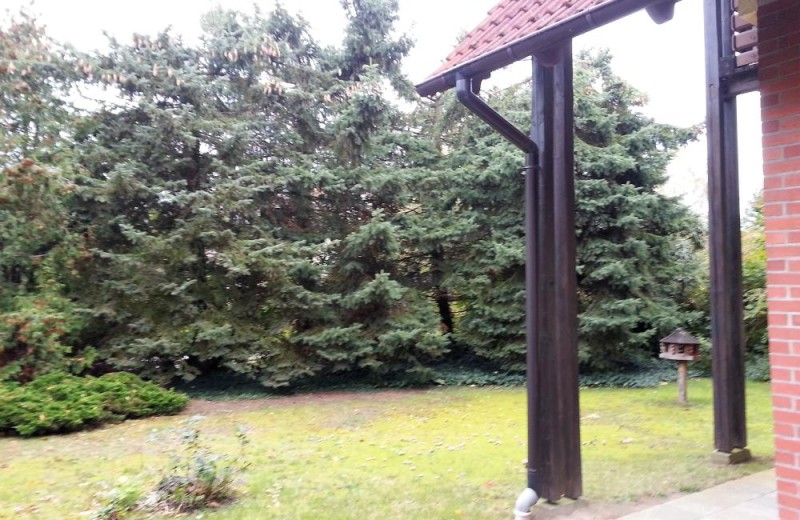 schöner Garten des Ferienhauses