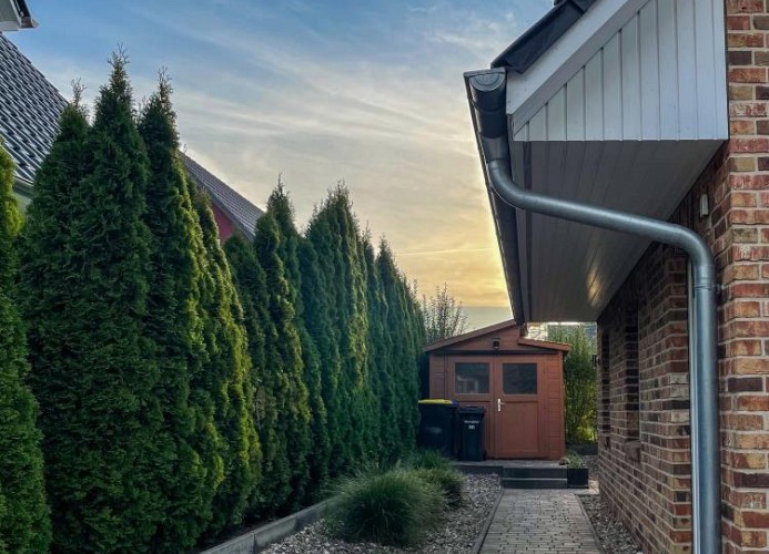 50 EG - Ferienwohnung mit Terrasse
