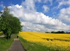 Entdecken Sie die Mecklenburgische Seenplatte zu Fuß oder mit dem Rad!