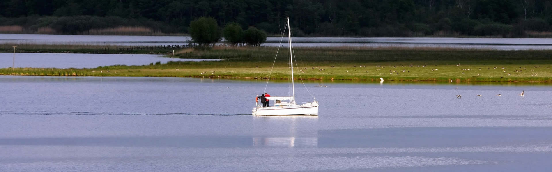 Segler auf der Müritz